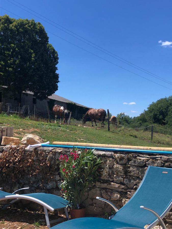 La Ferme De La Truffe Chambres D Hotes Cuzance Bagian luar foto